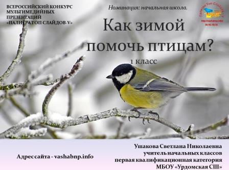 Как зимой помочь птицам